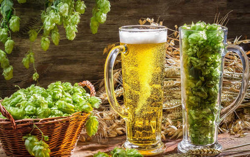 Jual Poster Food Beer APC 022