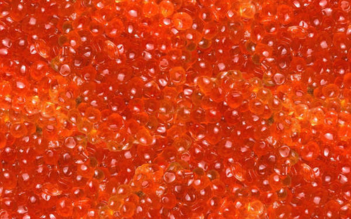 Jual Poster Food Caviar APC 009 Jual Poster Food Caviar APC 009