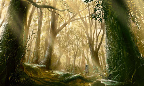 Poster Forest Ginko (Mushishi) Anime Mushishi APC