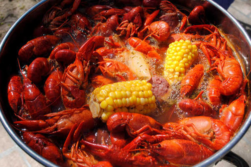 Jual Poster Food Crawfish APC 002 Jual Poster Food Crawfish APC 002
