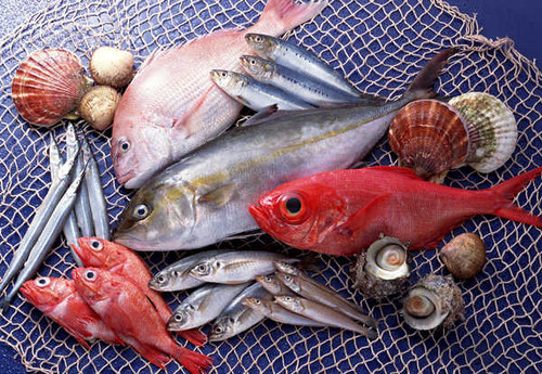 Jual Poster Food Fish APC 004