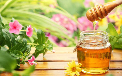 Jual Poster Food Honey APC 013 Jual Poster Food Honey APC 013