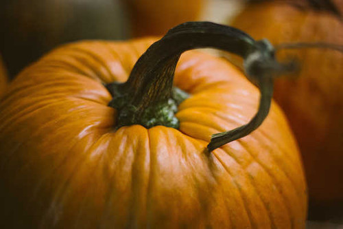 Jual Poster Food Pumpkin APC 008