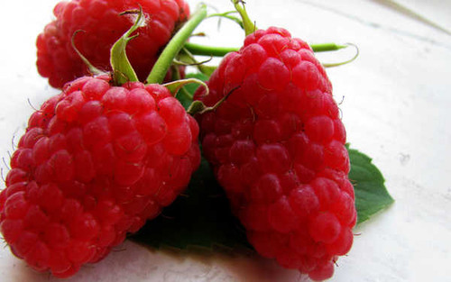 Jual Poster Food Raspberry APC 020