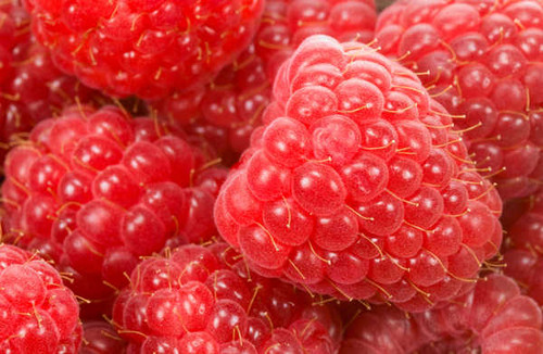 Jual Poster Food Raspberry APC 027