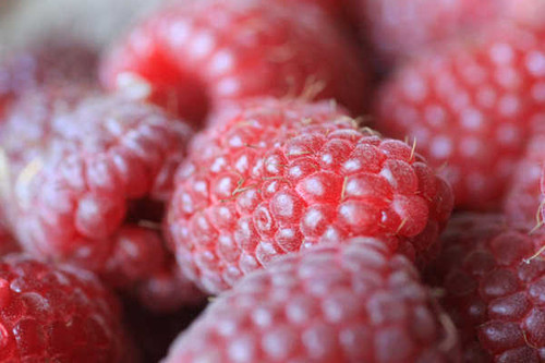 Jual Poster Food Raspberry APC 028