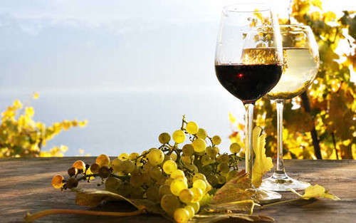 Jual Poster Food Wine APC 064 Jual Poster Food Wine APC 064