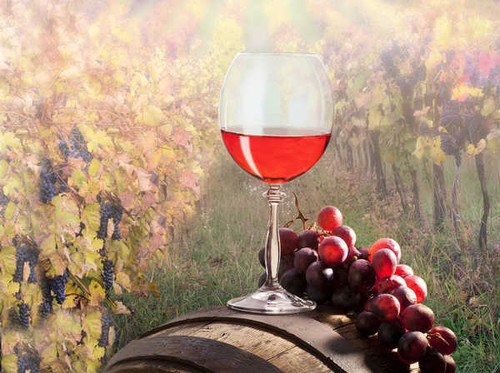 Jual Poster Food Wine APC 087