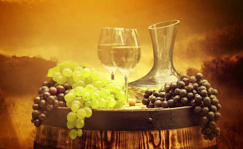 Jual Poster Fruit Glass Grapes Still Life Wine Food Wine APC 002