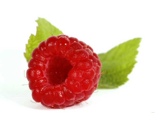 Jual Poster Fruit Raspberry Food Raspberry APC 001