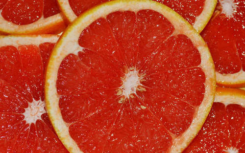 Jual Poster Fruits Blood Orange APC 004