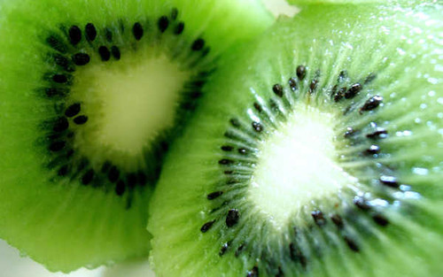 Jual Poster Fruits Kiwi APC 005