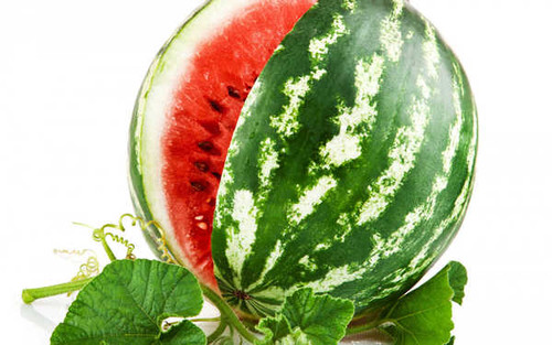 Jual Poster Fruits Watermelon APC 010