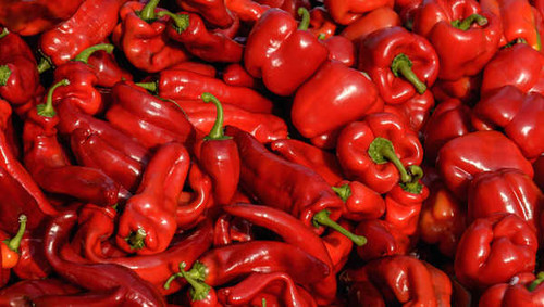 Jual Poster Pepper Red Spices Food Pepper APC