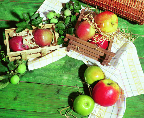 Jual Poster Apples 1Z 001 Jual Poster Apples 1Z 001