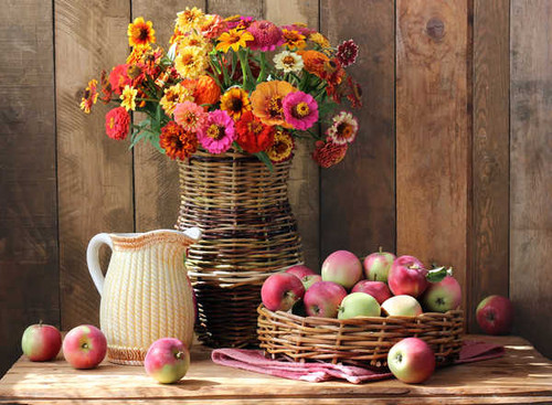 Jual Poster Apples Bouquets Still life Zinnia Vase Wicker 1Z