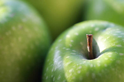 Jual Poster Apples Closeup Green 1Z 001