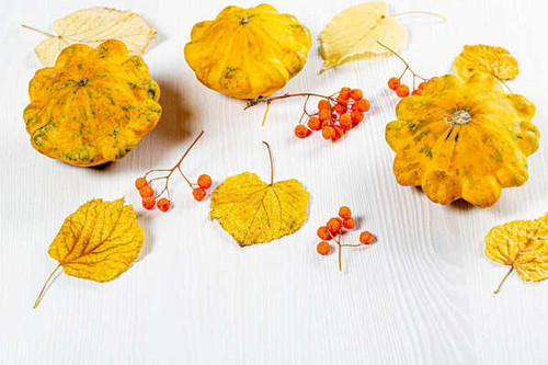 Jual Poster Autumn Pumpkin Berry White background Foliage 1Z