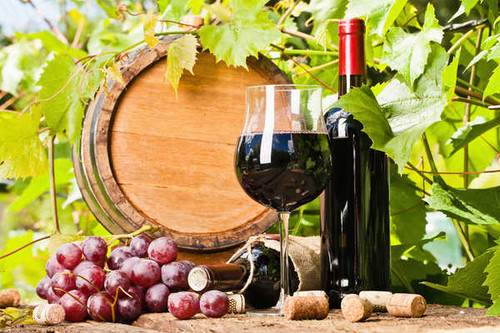 Jual Poster Barrel Grapes Bottle 1Z