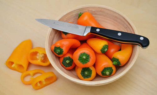 Jual Poster Bell pepper Knife Bowl 1Z