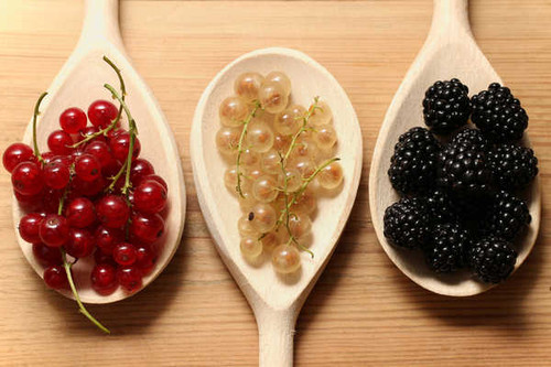 Jual Poster Berry Blackberry Currant Spoon Three 3 1Z