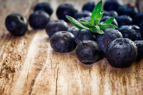 Jual Poster Berry Closeup Blueberries 1Z