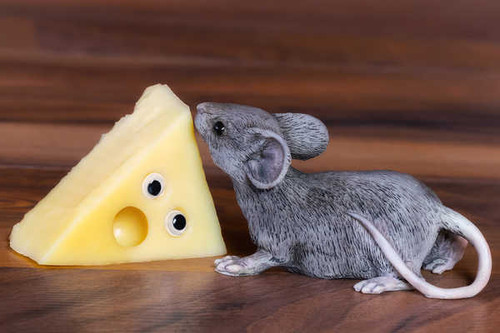 Jual Poster Cheese Mice Eyes Toys 1Z Jual Poster Cheese Mice Eyes Toys 1Z