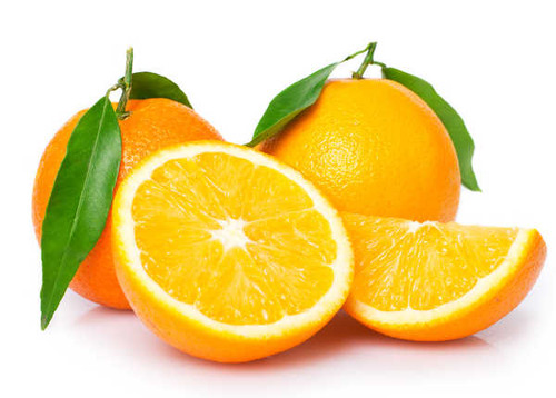 Jual Poster Citrus Orange fruit 1Z 002