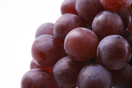 Jual Poster Closeup Grapes Berry 1Z