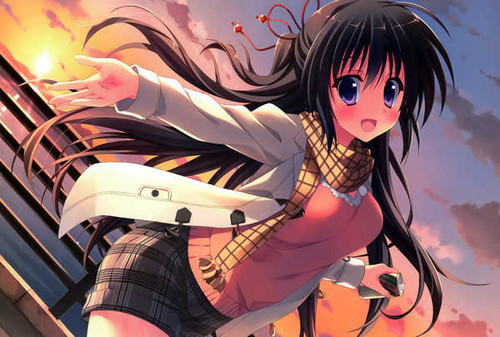 Poster Girl Original (Anime) Anime Original APC036A Poster Girl Original (Anime) Anime Original APC036A