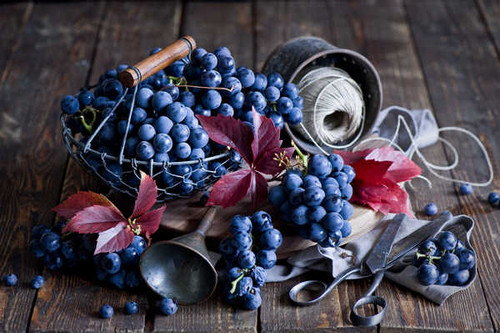Jual Poster Grapes 1Z 001