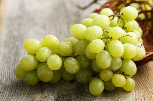 Jual Poster Grapes Closeup 1Z 004