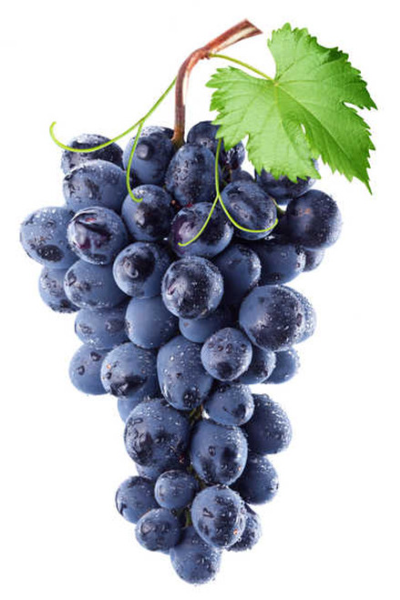 Jual Poster Grapes Closeup White background 1Z 002