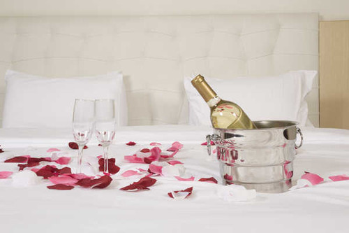 Jual Poster Holidays Wine Bucket Bottle Stemware Petals Two 1Z