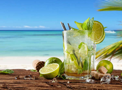 Jual Poster Lime Mojito Cocktail Summer Highball glass 1Z