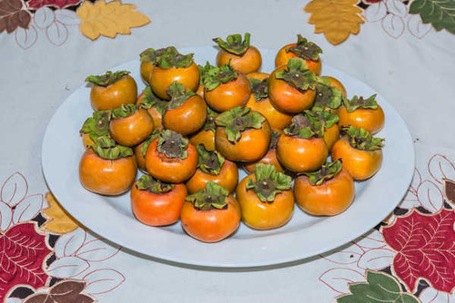 Jual Poster Persimmon Many Plate 1Z Jual Poster Persimmon Many Plate 1Z