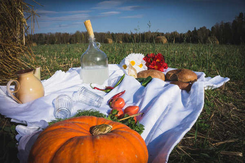 Jual Poster Pumpkin Bread Vodka Tomatoes Fields Picnic 1Z
