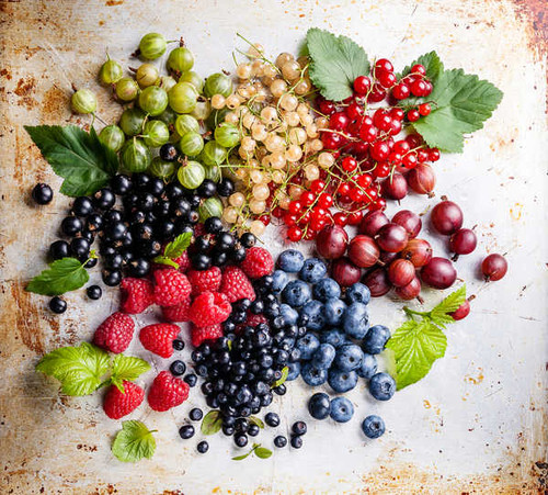 Jual Poster Raspberry Blueberries 1Z 002