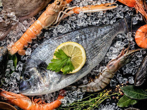 Jual Poster Seafoods Fish Food 1Z 048