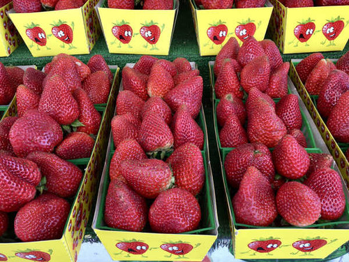 Jual Poster Strawberry Closeup 1Z 017