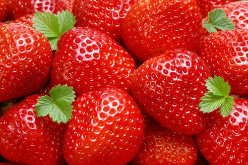 Jual Poster Strawberry Closeup 1Z 026