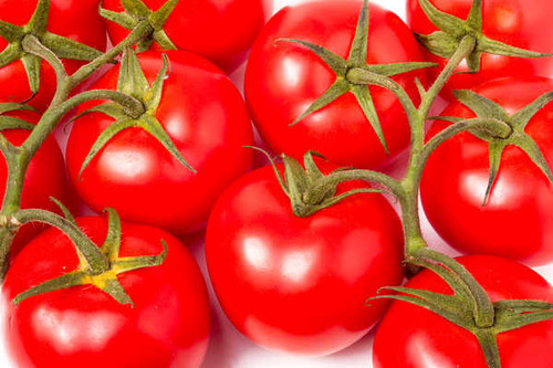 Jual Poster Tomatoes Closeup 1Z 004