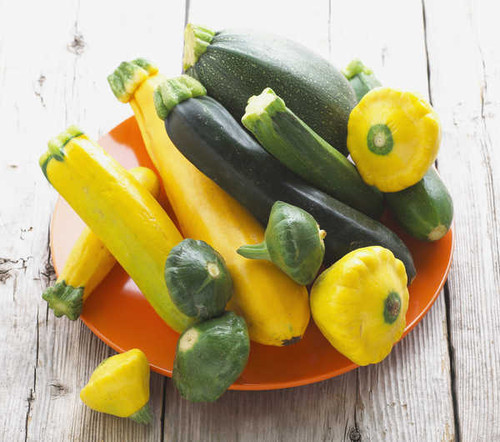 Jual Poster Vegetables Zucchini Plate 1Z Jual Poster Vegetables Zucchini Plate 1Z