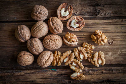 Jual Poster Walnut Nuts 1Z Jual Poster Walnut Nuts 1Z