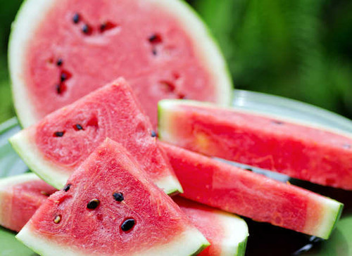 Jual Poster Watermelons Closeup 1Z 012