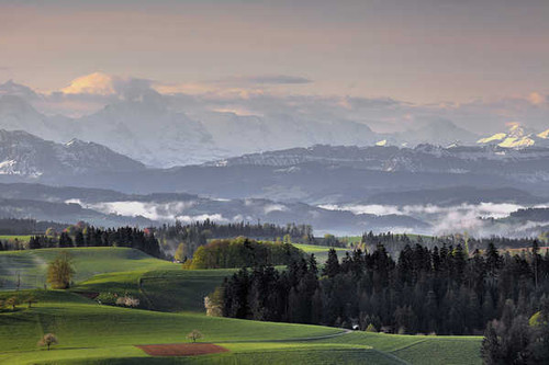 Jual Poster Alps Landscape Switzerland Wood Earth Landscape APC