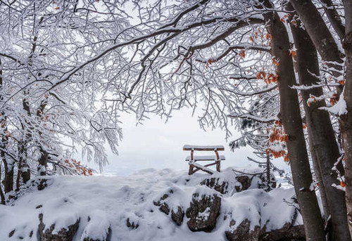 Jual Poster Bench Snow Earth Winter1 APC