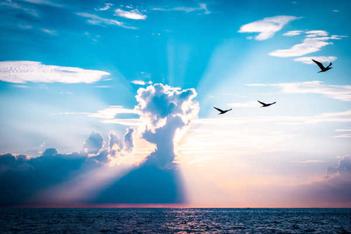 Jual Poster Bird Cloud Earth Sunbeam1 APC
