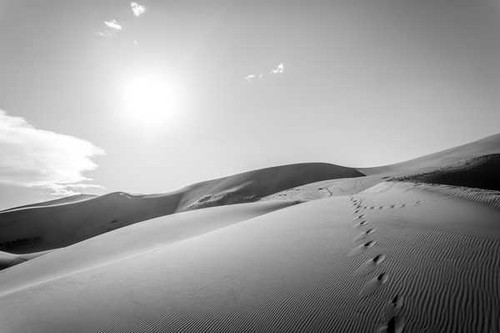 Jual Poster Black & White Desert Dune Footprint Sand Earth Desert APC