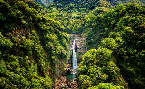 Jual Poster Cliff Greenery Nature Waterfall Waterfalls Waterfall0 APC